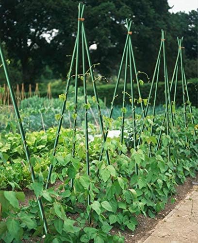 6 Feet Garden Stakes 20packs, Dia 1/4'' Plant Stakes 72'' Long, Never Rust/Rot, Better Than Wood Stakes and Bamboo Stakes, Dark Green