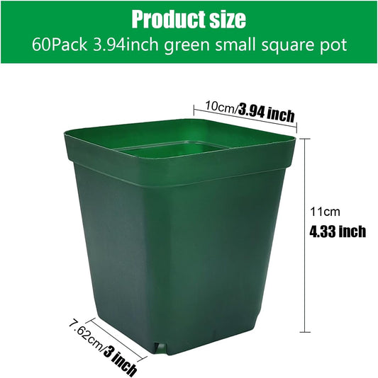 Square Nursery Succulent Pots 4 Inches 60 Pcs Deep Flower Plant Nursery Seedling Grow Pots Plastic with Drainage (Green, 4Inches, 60Pcs)
