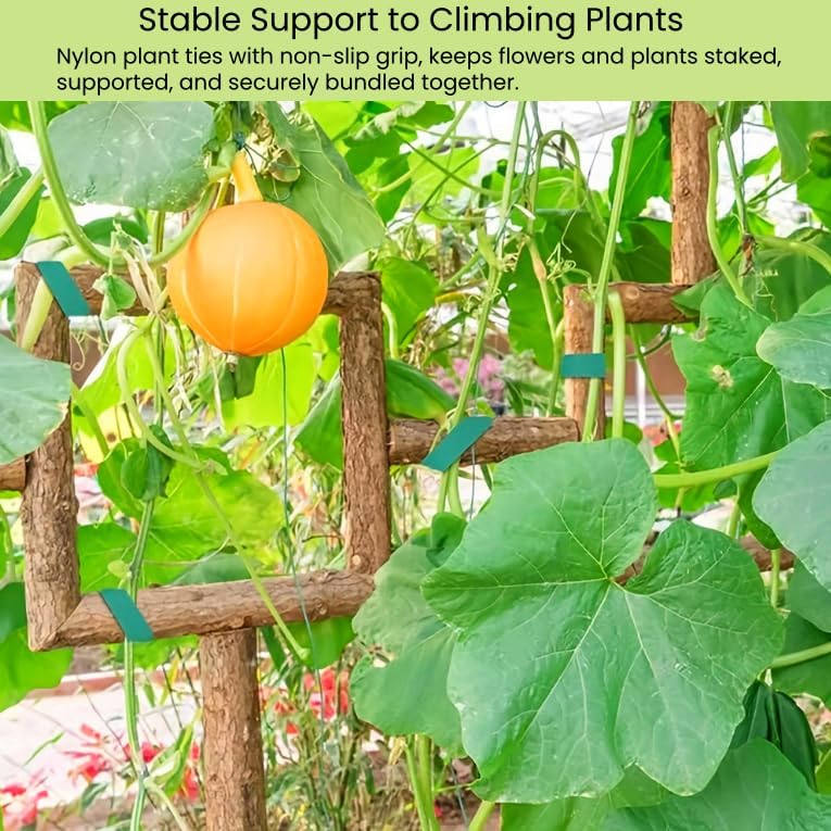 Reusable Plant Ties for Climbing Plants Hook and Loop Green Nylon Plant Straps Tape Double Sided Garden Tie Strap Reusable Adjustable Gentle Support for Vines, Trellis, Tomato (1/2 Inch x 16.4 ft)