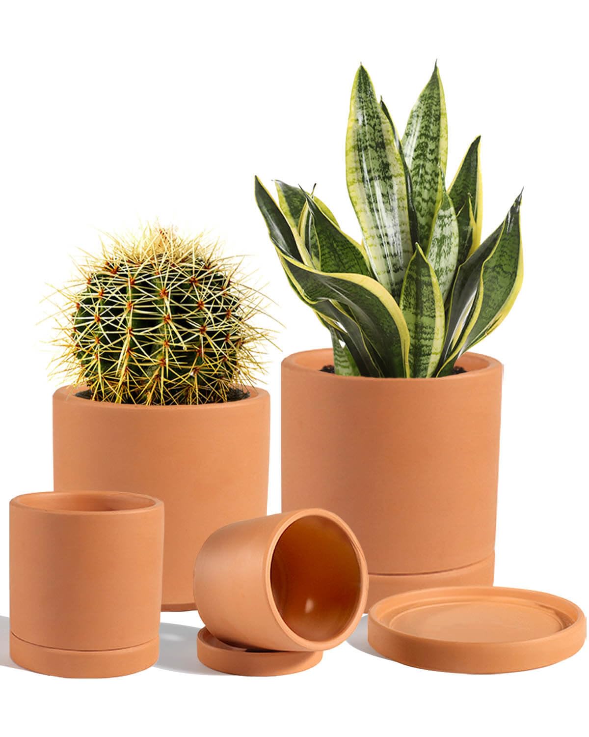 Terracotta Pots with Drainage and Saucers, 3.5/4.2/5.2/6 Inch Clay Planters