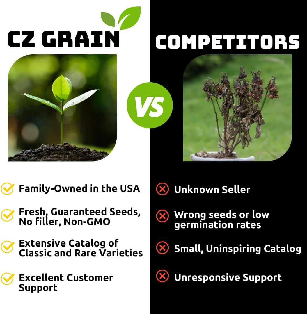 Rye Grain Seeds – 15 lbs – Open-Pollinated Cover Crop and Forage Mix for Soil Improvement, Erosion Control, and Deer Food Plots
