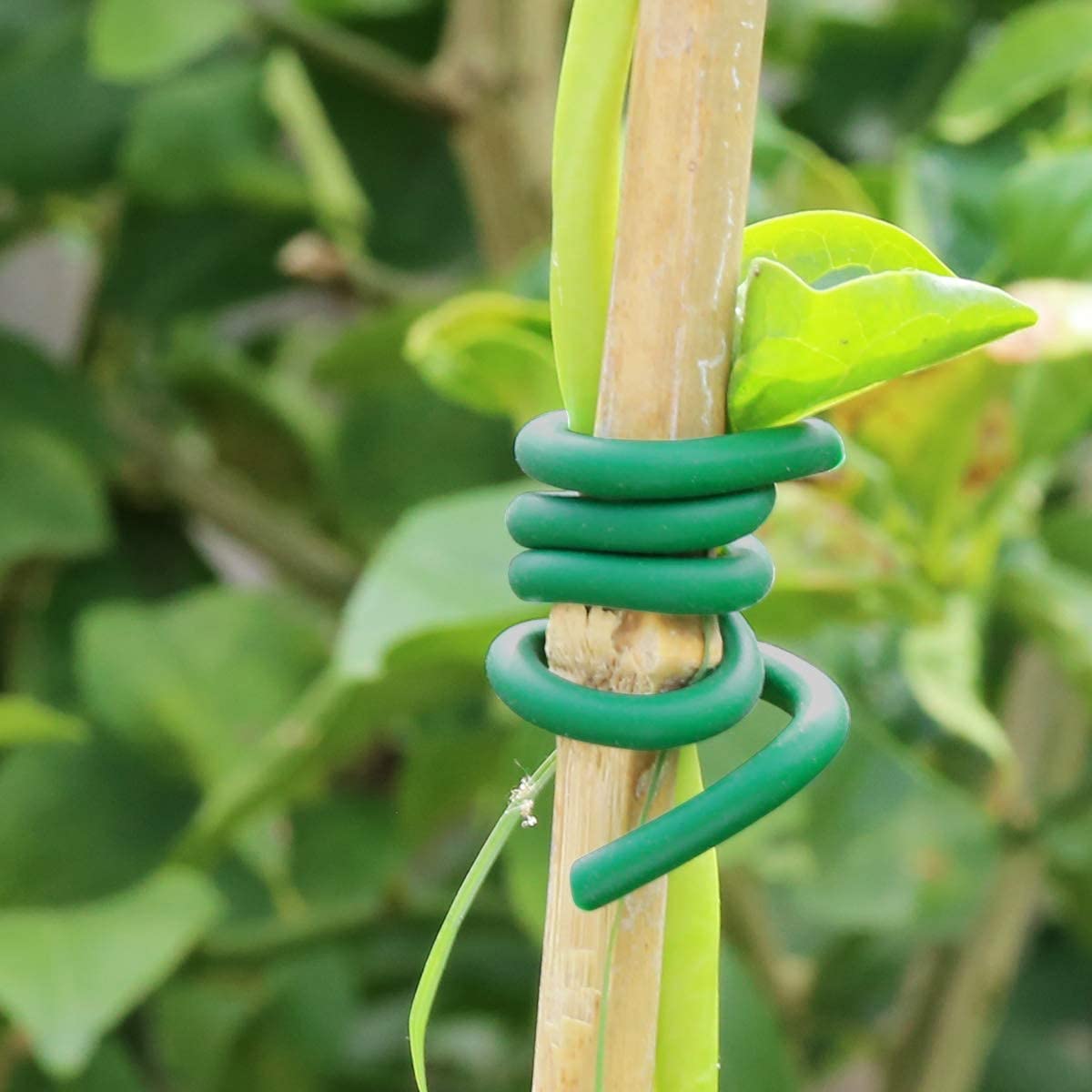 Decoroca Soft Plant Ties for Support - 65.6' Reusable Waterproof Plant Wire, 3.5mm Garden Twist, for Indoor & Outdoor Plants and Home Organizing(1pc/Green)