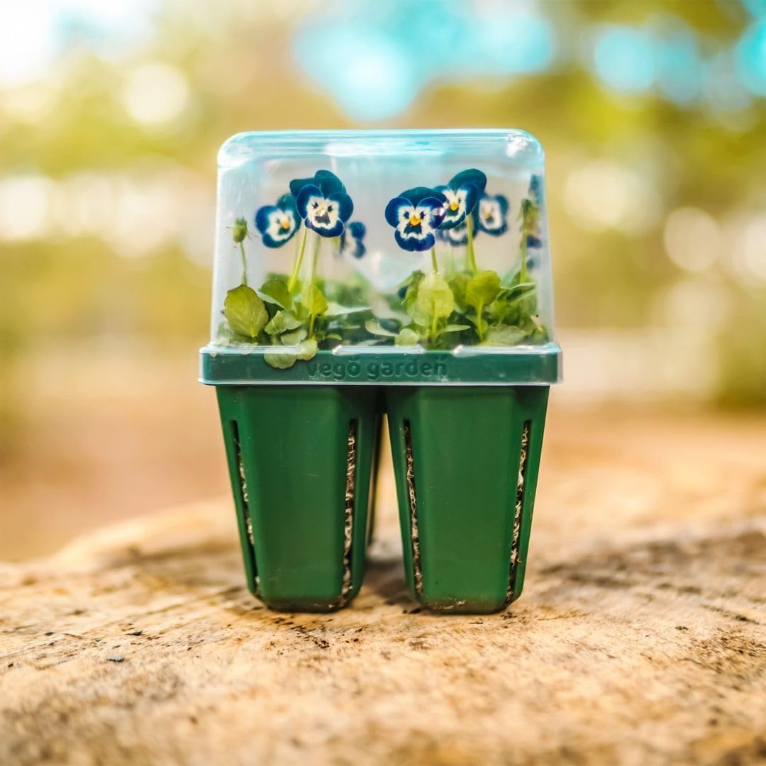 Vego garden Seedling Suite Products, 4 Pack Jumbo Seedling Trays with Seedling Tray Lids and 10" x 10" Bottom Watering Trays