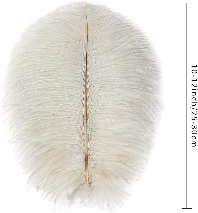 Ballinger Beige Ostrich Feathers Bulk - 24pcs 10-12inch Boho Feathers for vase,Wedding Party Centerpieces and Home Decor