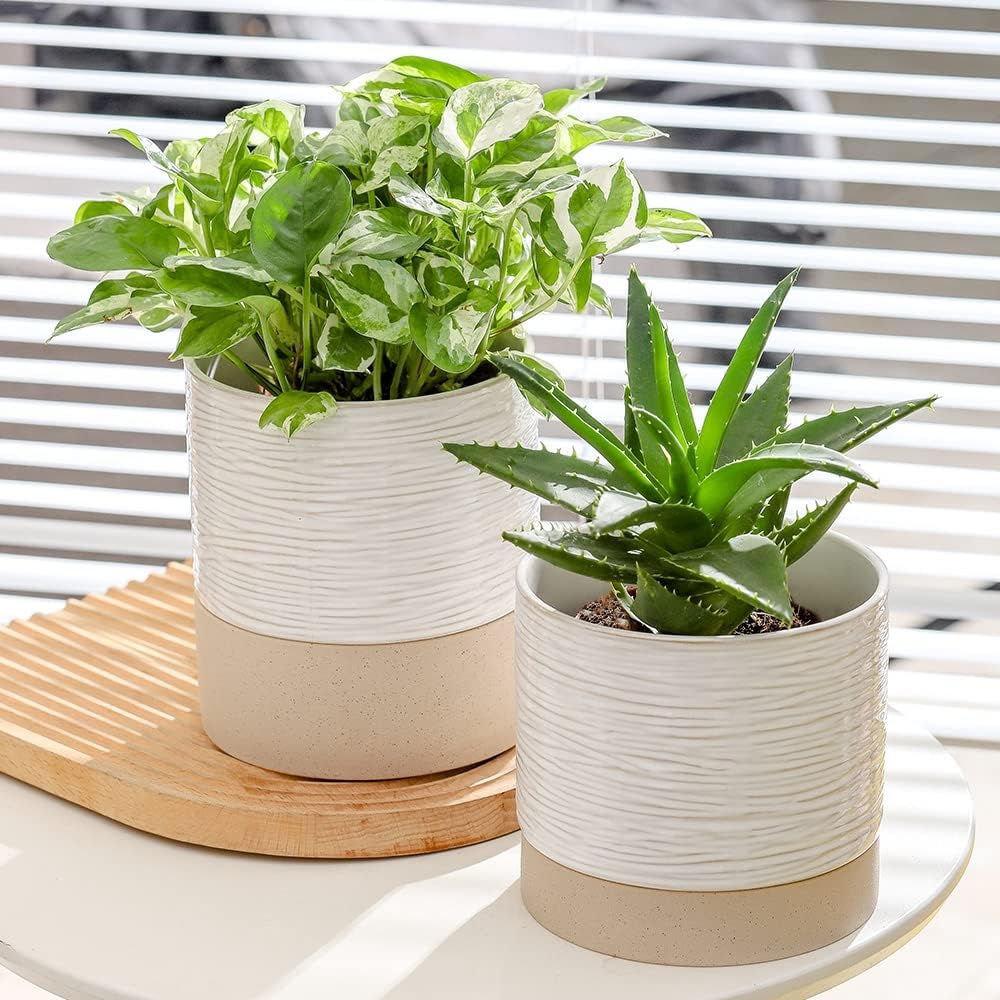 Nihow Self Watering Plant Pot: 6 Inch Ceramic Planter with Drainage Hole & Water Storage Plus for Indoor & Outdoor Plants - Cylinder Round Flower Pot for Succulent/Herbs/Violets - Cream White & Brown