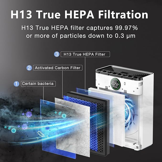 2 Pack PR1 Replacement Filter, Compatible with MOOKA PR1 Air Purifier, H13 True HEPA Filter for Home Large Room, Removes Pollen Dander Smoke Pet Hair Dust (includes 6pcs Washable Pre Filter)