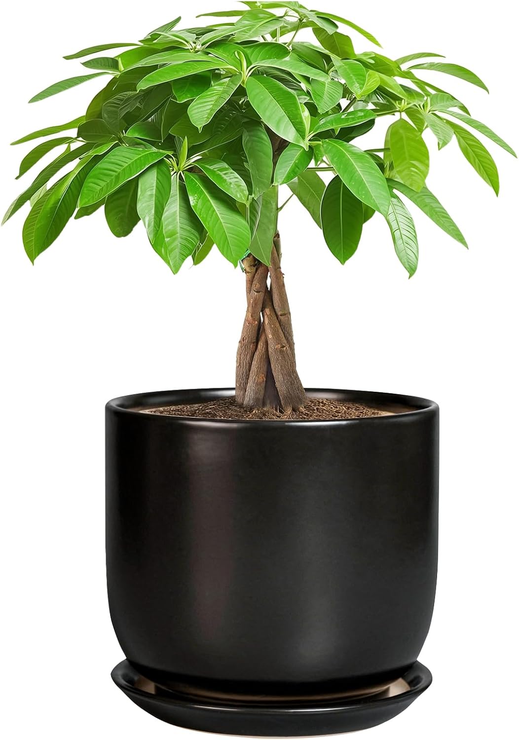 Ceramic Planter 7 Inch - Cylinder Round Modern Indoor Plant Pot for Plants with Drainage Hole and Saucer, Room Home Patio Office Patio Decor, Black