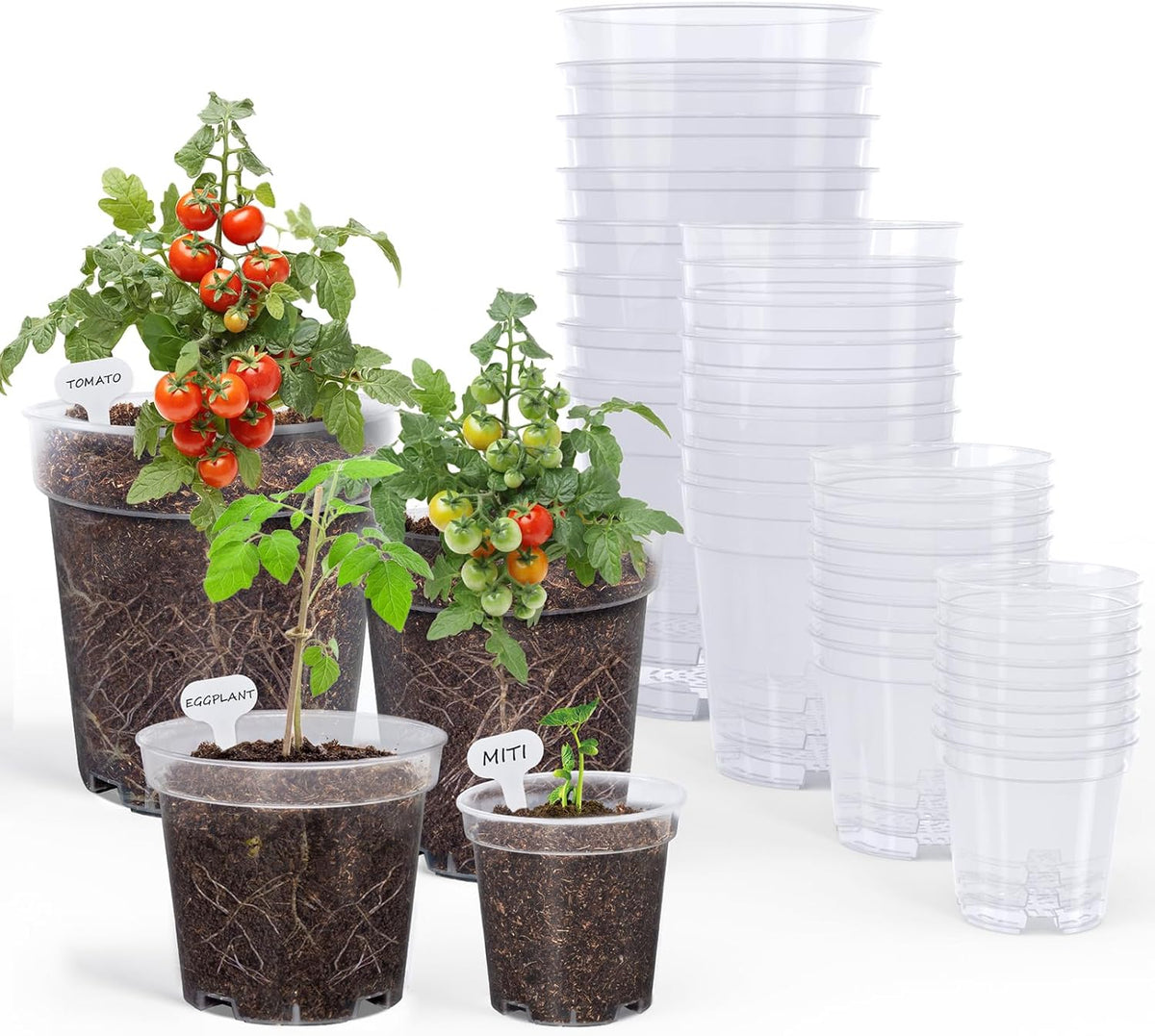 homenote Clear Nursery Pots for Plants,3/4/5/6.7 Inch Plant Pot for Planting Plastic Seedling Pots with Drainage Holes Seed Starter Pot Flower Pots High Transparency with 20 Plant Labels (36 Pack)