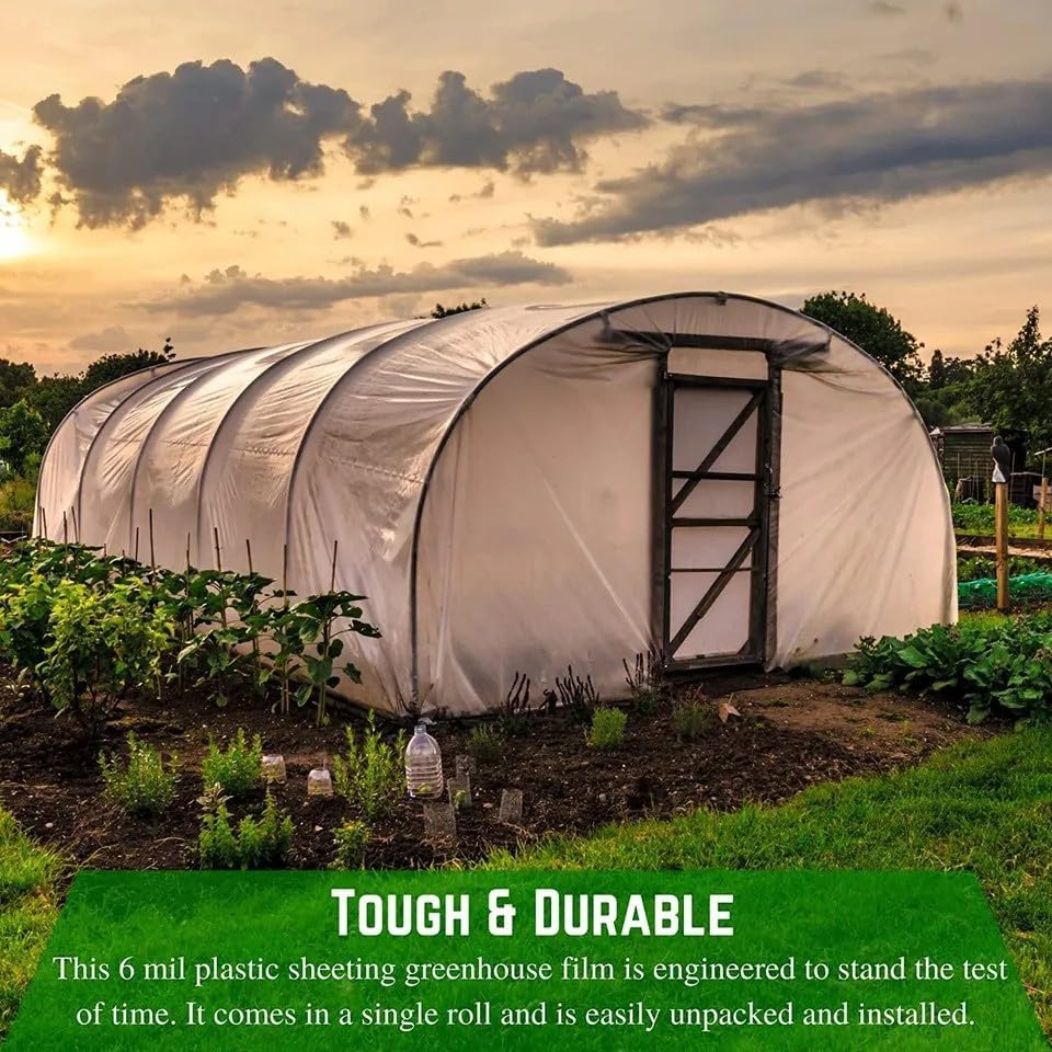 FPS 4-Year Clear 6 mil Greenhouse Sheeting - Transparent, Durable Plastic Film for Greenhouses (20' x 10')
