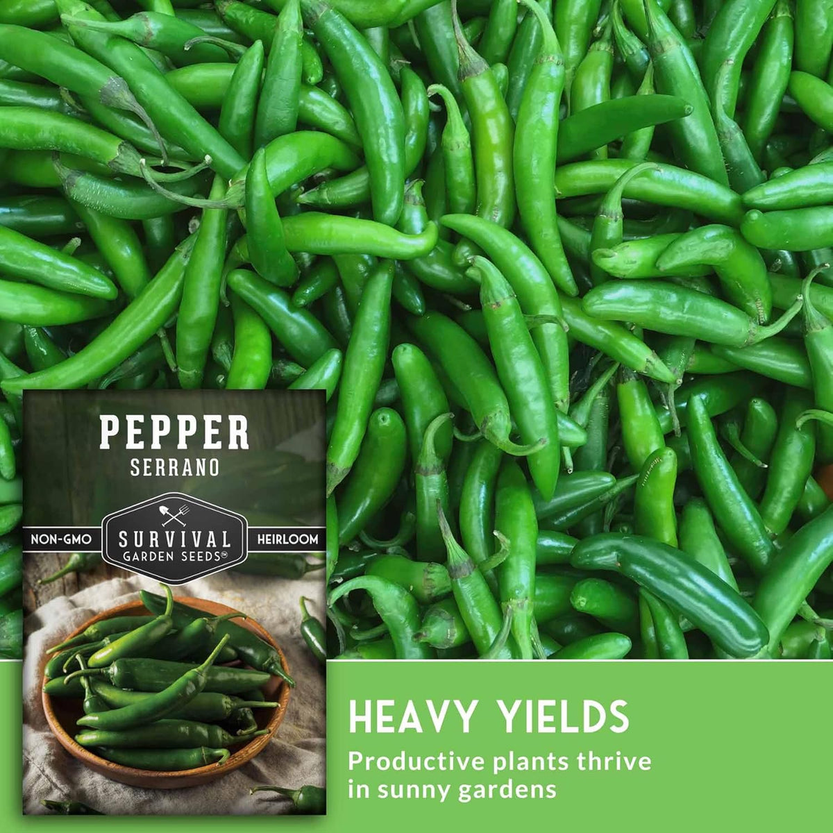 Mexican Serrano Pepper Seeds for Planting | Fresh Hot Chili & Green Hot Pepper Seeds – Heirloom Non-GMO Variety for Sauce, Salsa & Pickling – Survival Garden Seeds (5 Packs)
