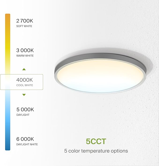 ASD LED 12" Round Flush Mount Ceiling Light Fixture, Low Profile Surface Lighting | 5CCT, Dimmable, Ultra-Thin, ETL Listed | 24W 1900LM 2700-6000K 120V | Kitchen, Bedroom, Hallway Lamp | Nickel