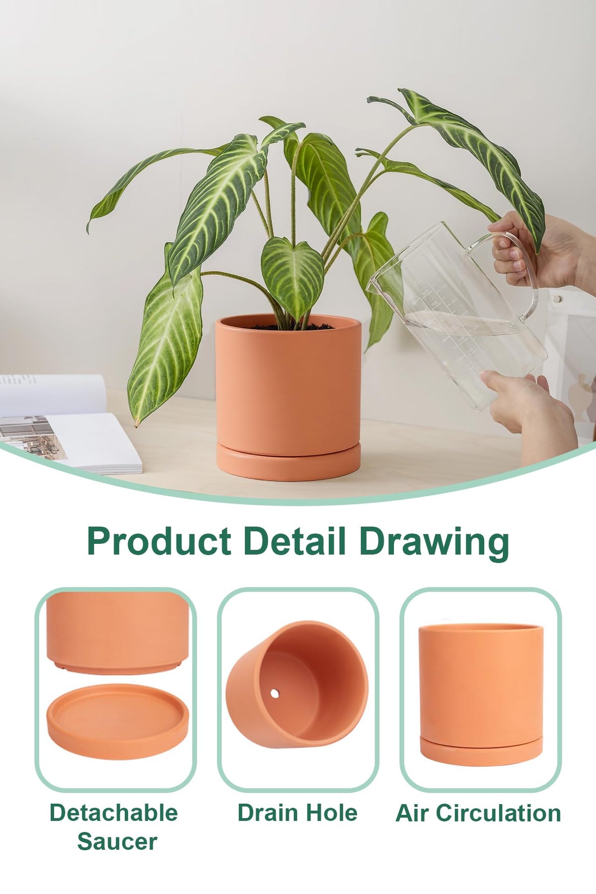 Terracotta Pots with Drainage and Saucers, 3.5/4.2/5.2/6 Inch Clay Planters
