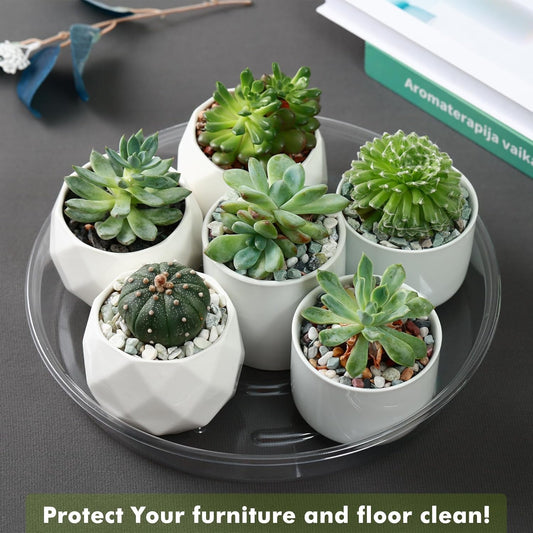 Saucer 30 Pack Plant Trays for Pots 10 Inch Plastic for Outdoors and Indoors Clear Drip Trays for Potted Plants Flower Pot Plates to Catch Water Drainage Dishes No Holes