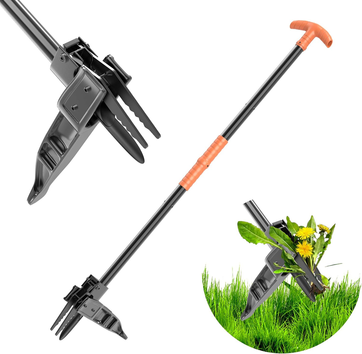 ZHENHAN Weed Puller Tool,43" Iron Stand-Up - No Bend Push-Pull Weeding Tool with Foot Pedal, Extra Long Handle Dandelion Remover for Lawn & Garden, Heavy Duty Root Extraction Tool (Black)