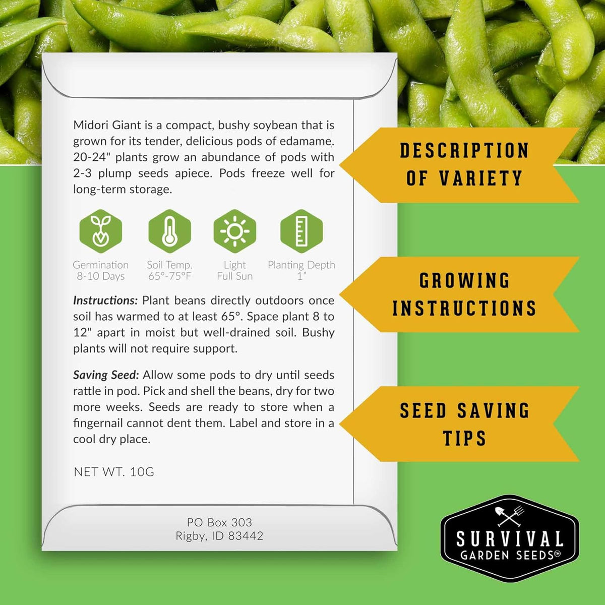 Midori Giant Soybean Seeds for Planting - Grow Protein-Rich Edamame Pods in Your Home Vegetable Garden - Non-GMO Heirloom Soy Bean - Survival Garden Seeds (3 Packs)