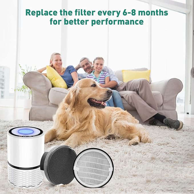 2 Pack LV-H132 Air Purifier Replacement Filter Compatible with LEVOIT LV-H132-RF Air Purifier H13 True HEPA Air Filter Replacement 3-In-1 Filtration System Compatible With LEVOIT LV-H132 Air Purifier