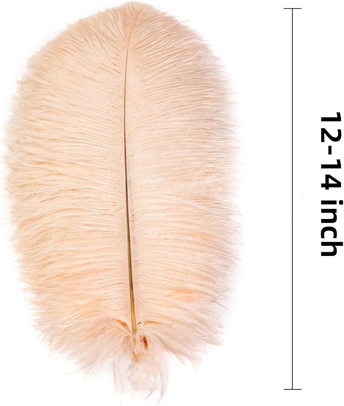 Ballinger Light Salmon Ostrich Feathers - 24pcs 12-14inch Big Feathers for Crafts,Wedding Party Centerpieces and Home Decor