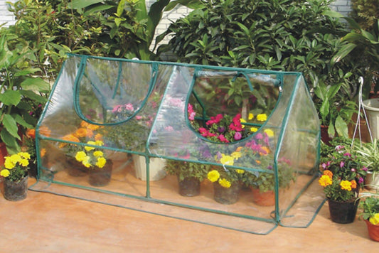Zenport SH3212A Garden Cold Frame Greenhouse Cloche - 3 Pack