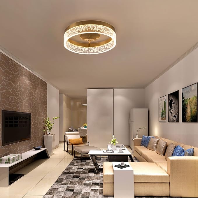 Jaycomey Modern LED Ceiling Light Fixture, 11.65" Flush Mount Kitchen Lighting Gold with Clear Seeded Acrylic Lampshade,Round Ceiling Lamp Lights for Hallway Dining Room