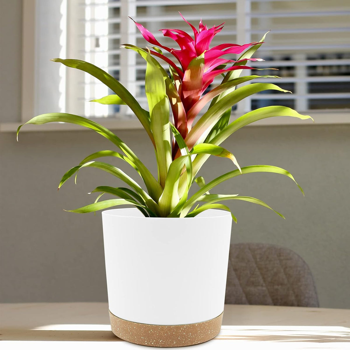 QCQHDU 8 inch Plant Pot, 2 Pack Planters for Indoor Plants with Drainage Holes & Saucer, Outdoor Flower Pots Home Garden Modern Decor
