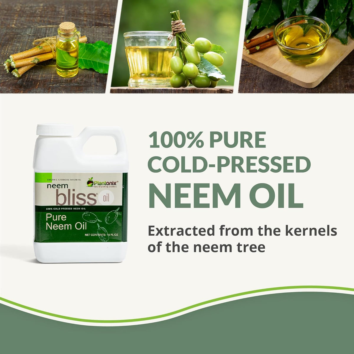 Neem Bliss (64 Fl Oz) - Pure Neem Oil Concentrate - 100% Cold Pressed Neem Oil - All-Natural Neem Oil Concentrate - Pure Neem Oil Extract - Unrefined Neem Oil for Hair - Neem Seed Oil Concentrate