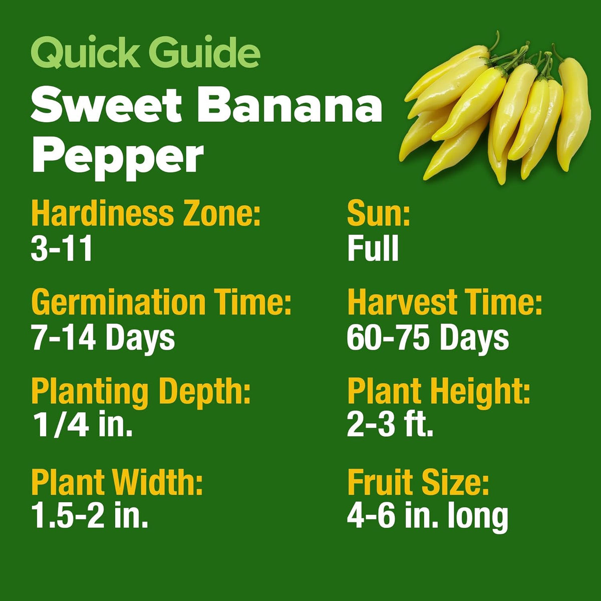 HOME GROWN ๐จ๐ฆ๐ ๐ฃ๐ฅ๐๐ ๐๐จ๐ Banana Pepper Seeds Pack โ 94 ๐ก๐ข๐ก-๐๐ ๐ข Heirloom Vegetable Seeds โ High Germination Sweet Peppers for Planting Indoors or Outdoor Garden (Capsicum annuum) (1pack)