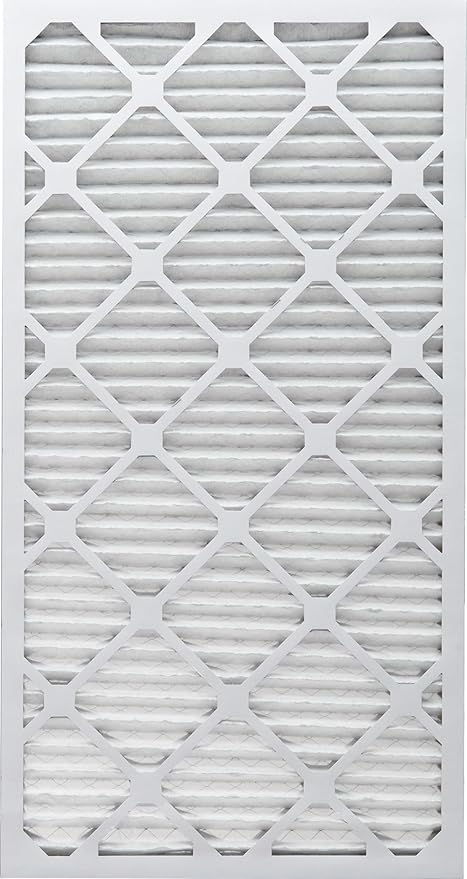 Nordic Pure 20x30x1 (Actual Size: 19 3/4 x 29 3/4 x 3/4) Pleated MERV 8 Air Filters 2 Pack