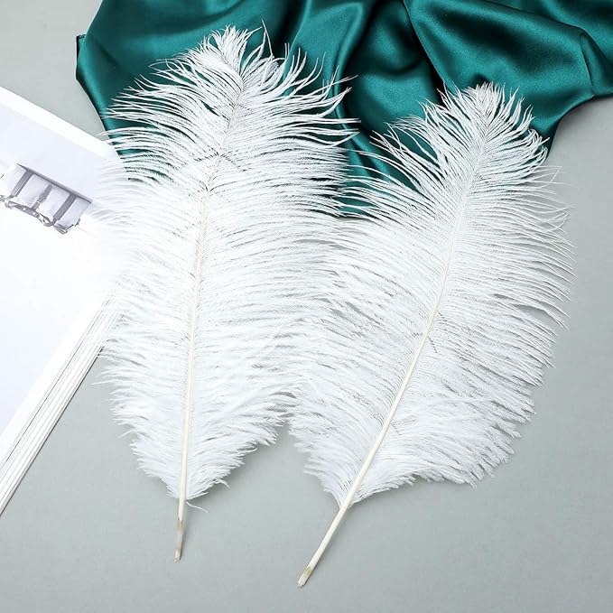 24pcs Natural White Ostrich Feathers 10-12inch (25-30cm) for Wedding Party Centerpieces,Flower Arrangement and Home Decoration.