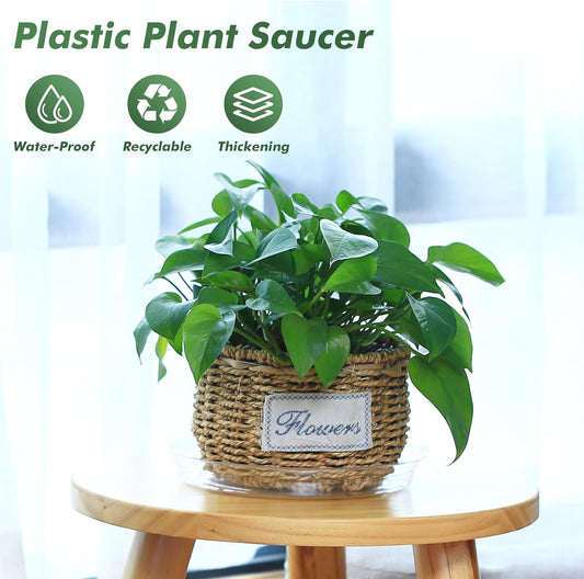 60 Pack 6 Inch Plant Saucer Clear Plant Saucers for Indoors Flower Pot Saucers Small Plants Plate Dish Succulent Pot Saucer Plants Trays for Pots Bulk Plastic Tray for Flower Cactus Nursery Pots
