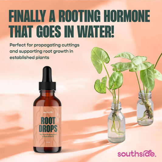 Root Drops - Liquid Rooting Hormone | Fast Propagation, Stronger Roots, Less Shock | Works in Water, Soil, Leca, Moss | for All Indoor Houseplants Like Pothos, Monstera, Philodendron (4 oz)
