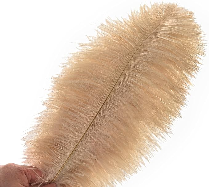 Ballinger Large Champagne Ostrich Feathers - 24pcs 12-14inch Boho Feathers for Vase and Home Decor Wedding Party Centerpieces