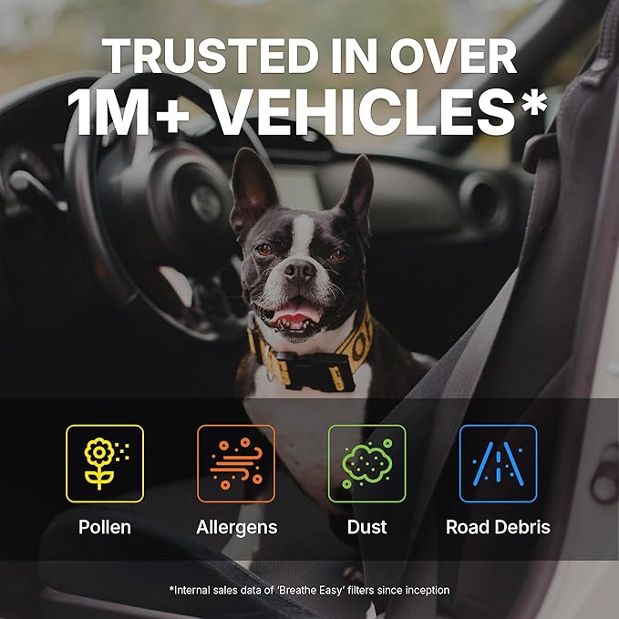 Spearhead OEM+ Particulate Breathe Easy Cabin Filter | Fits 06-07 Azera, 07-09 Santa Fe, 06-09 Sonata, 22-24 Carnival, 07-10 Optima Like OEM | Provides Max Airflow & Enhanced Performance (BE-381P)