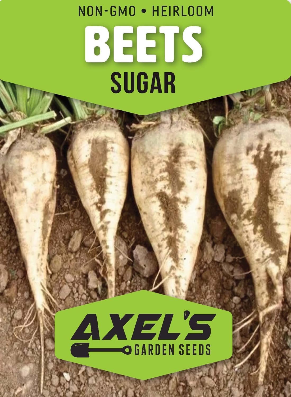 Beet Seeds for Planting - Plant & Grow Heirloom Beet Varieties Home Outdoor Vegetable Garden – Easy Grow Planting Packets, Beta vulgaris – 2 Packets of Each Variety