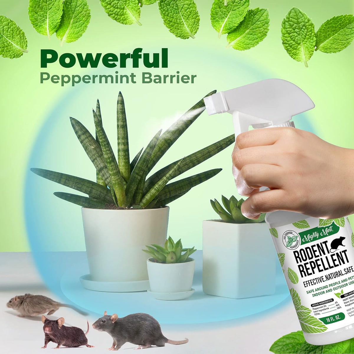 Mighty Mint Peppermint Oil Rodent Repellent Spray – Natural Indoor & Outdoor Control for Mice and Rats – Plant-Based, Extra-Strong Formula - 16 oz
