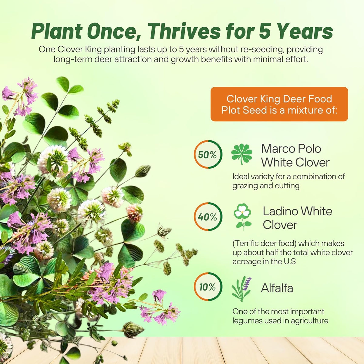 Outsidepride Perennial Clover King Seed Mix - 40 lbs Nitrocoated, Inoculated, Heat & Cold Tolerant, Alfalfa-Enhanced Food Plot Seeds for Deer & Wildlife, Ideal for Spring, Summer, & Winter Plots