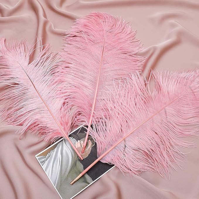 24pcs Natural Lotus Pink Ostrich Feathers 10-12inch (25-30cm) for Wedding Party Centerpieces,Flower Arrangement and Home Decoration.