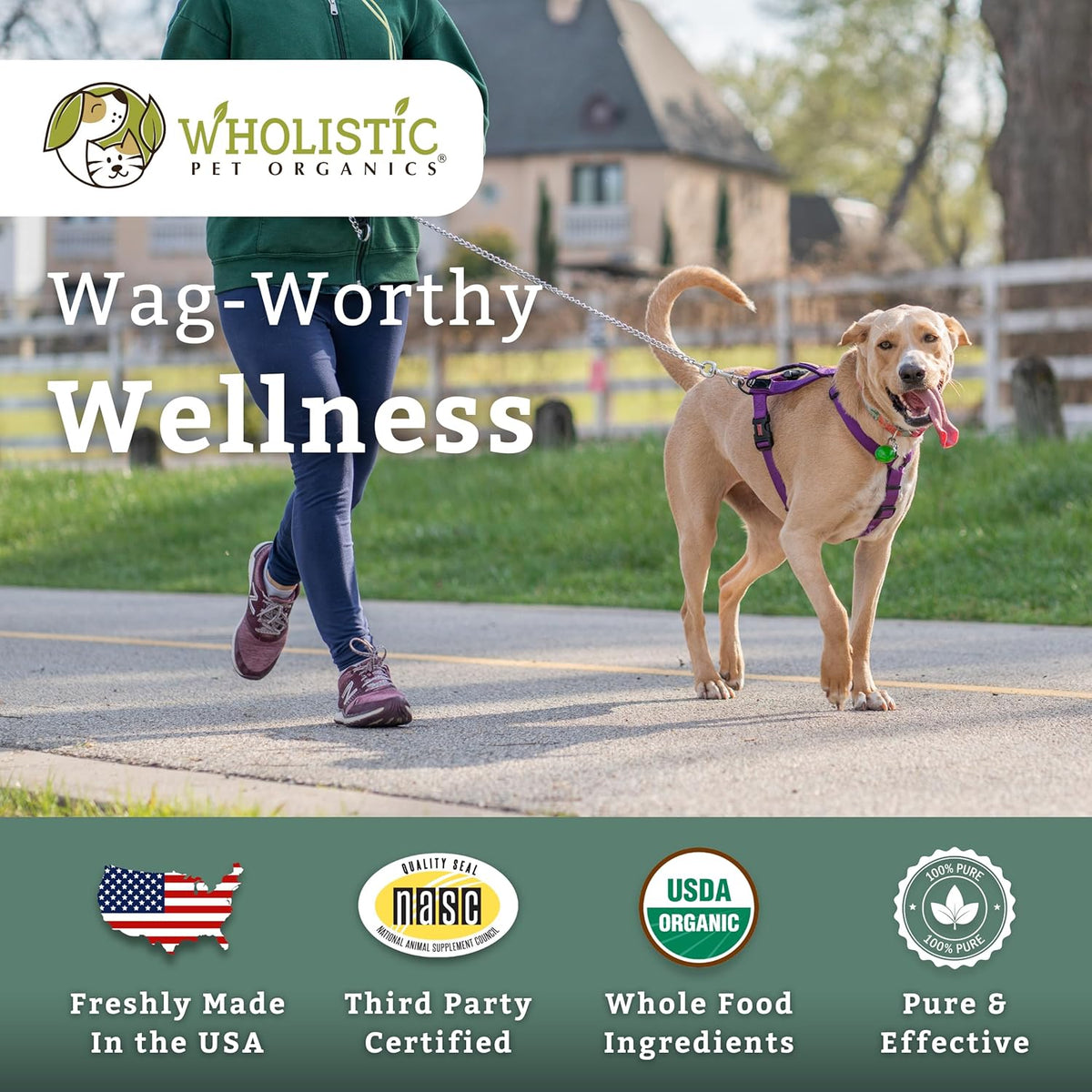 Wholistic Pet Organics Canine Complete - Dog Multivitamin Powder - 4 Lb - Daily Dog Vitamins and Supplements for Homemade Food - Immune System, Skin, Coat & Overall Health - Small and Large Breed