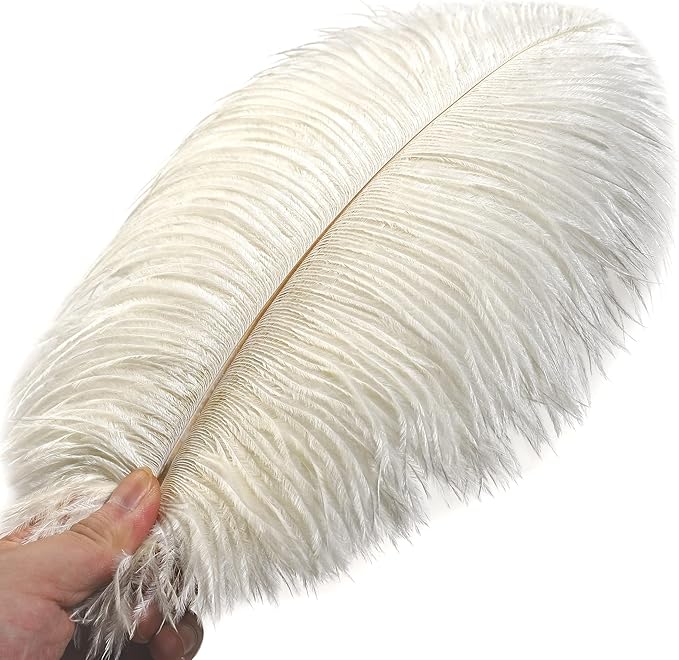 Ballinger Beige Ostrich Feathers Bulk - 24pcs 10-12inch Boho Feathers for vase,Wedding Party Centerpieces and Home Decor