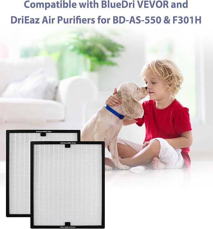 BD-AS-550 Air Scrubber Stage 2 Replacement Filter Compatible with BlueDri, VEVOR and Dri-Eaz Scrubber Air Purifier, for F301H, True HEPA H13 Filter of 16 x 19 x 2 inches(2 Pack)