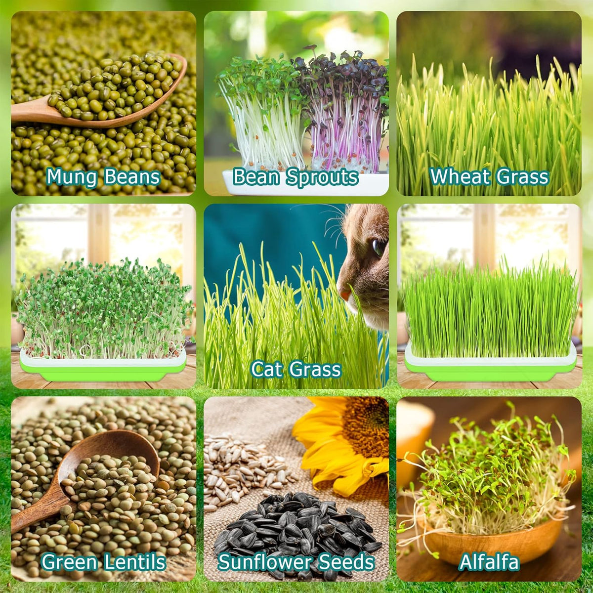 Legigo 5 Pack Seed Sprouter Trays- Soil-Free Cultivation Germination Tray, BPA Free Micro Greens Growing Trays Seed Sprouting Trays Kit with Germinating Paper for Healthy Wheatgrass, Beans and More