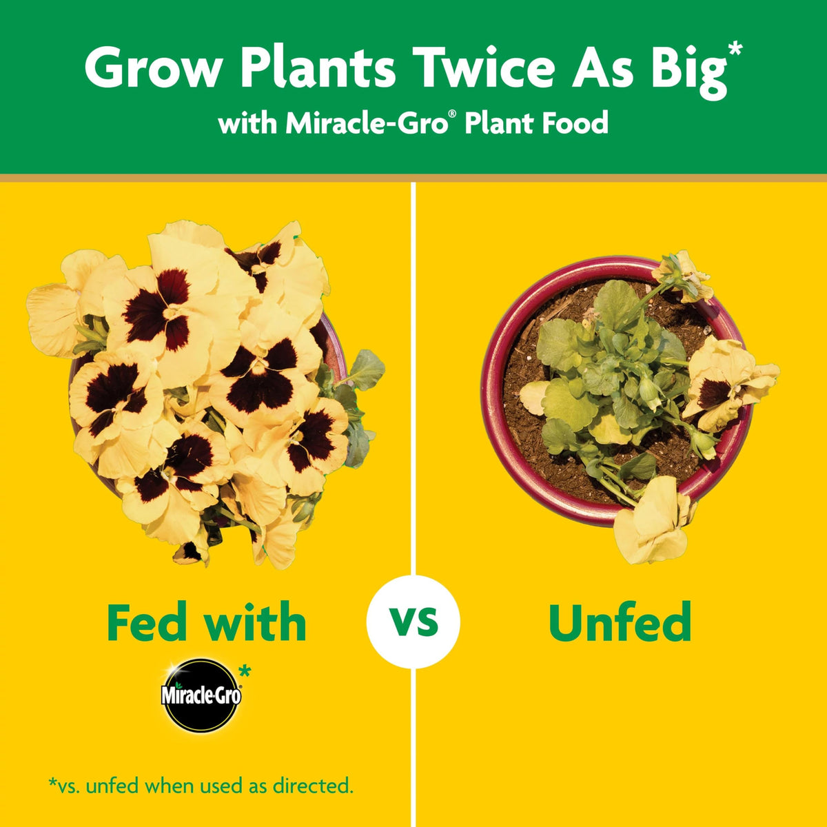 Miracle-Gro Garden Feeder with Water Soluble All Purpose Plant Food, 1 lb.