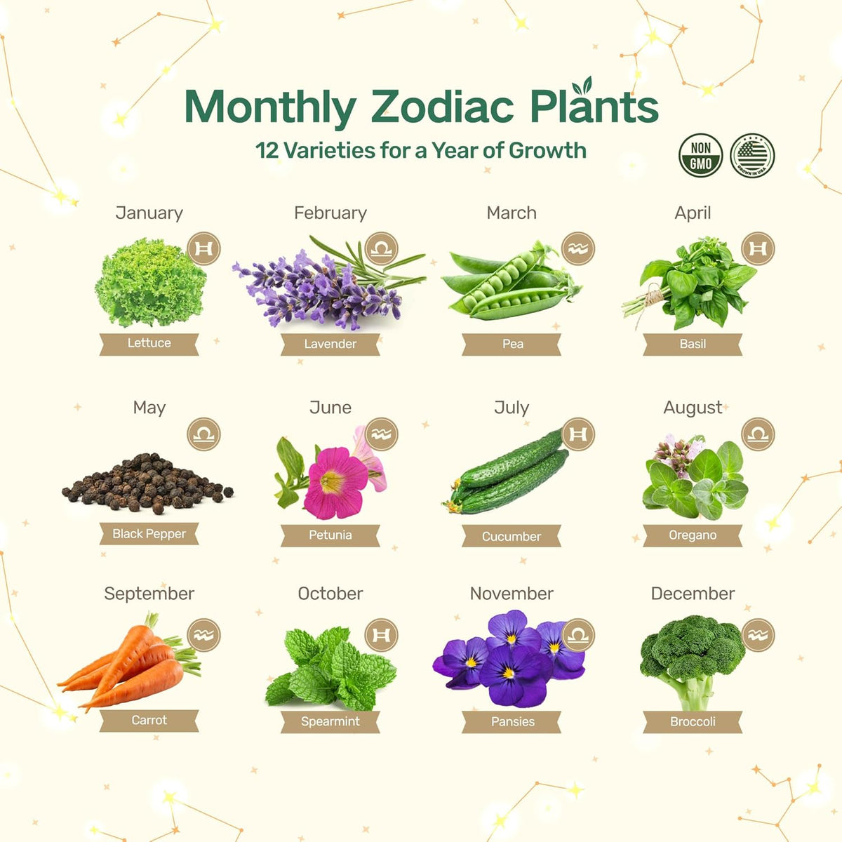 LUSH&DEW Gardening Gift for Women Men, Zodiac Garden Seed Bank, 12 Types Non-GMO Vegetables Flower Seeds in Seed Organizer, Magnetic Gift Box, Witchcraft Supplies, Air Signs Taurus Virgo Capricorn