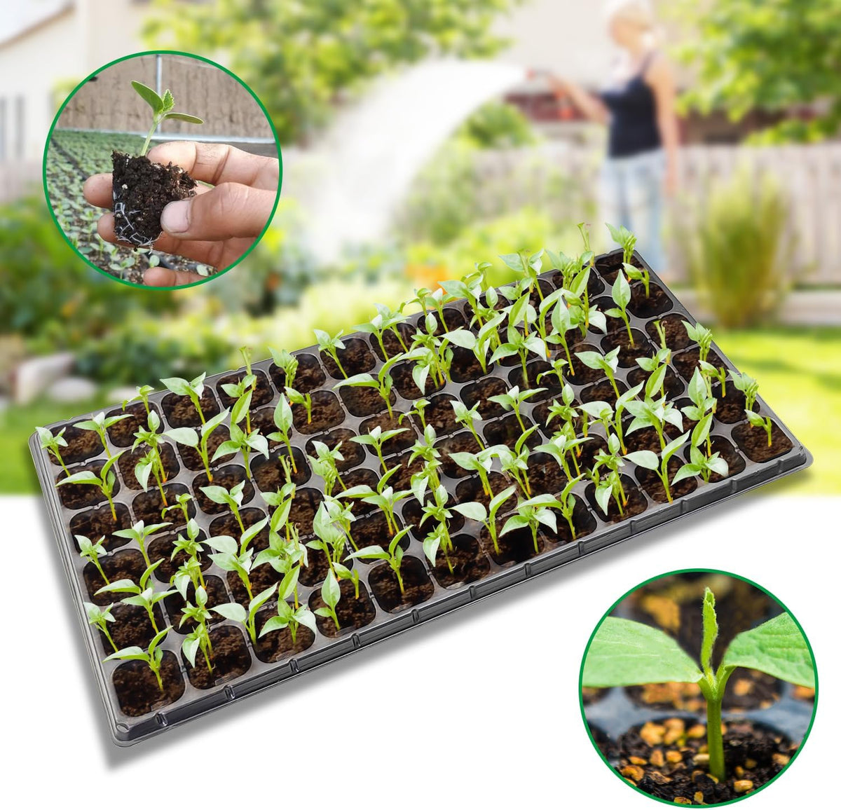 72 Cell Seed Trays, Thick Durable 72 Cell Plug Tray Seedling Plastic Nursery Tray for 1020 Flat Germination (10-Pack, 21"×11", 1.81" Height, Low)
