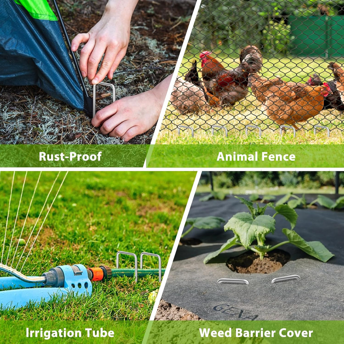 Landscape Staples 8 Inch, 50 Pack 8 Gauge Galvanized Garden Staples U-Shaped Landscape Stakes, Heavy Duty Ground Stakes for Outdoor Decorations, Weed Barrier Fabric, Irigation Tubing, Tent
