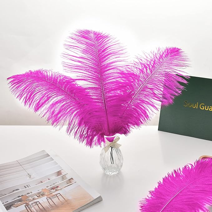 Ballinger Fuchsia Large Ostrich Feathers - 24pcs 10-12inch Craft Feathers Bulk for r Party Centerpieces, Flower Arrangement and Home Decor