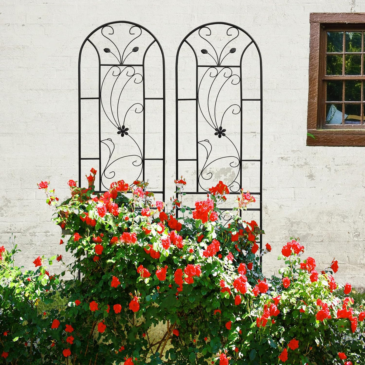 Metal Garden Trellis Rustproof Trellis for Climbing Plants Outdoor Flower Support Peacock Style (Black-4 Pack, 86.7"x19.7")