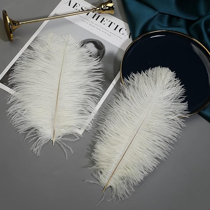 Ballinger Beige Ostrich Feathers Bulk - 24pcs 10-12inch Boho Feathers for vase,Wedding Party Centerpieces and Home Decor