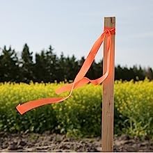 Greenes Fence Cedar Grade Stakes 16 in. Long (64-Pack)
