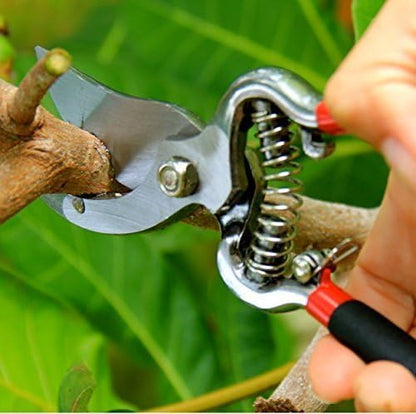 Garden Guru Classic Bypass Pruning Shears Clippers – Heavy Duty Forged Steel Garden Pruners – Safety Lock – Non Slip Comfort Grips – Cuts up to 1” – Professional Bypass Pruners for Gardening (2 Pack)