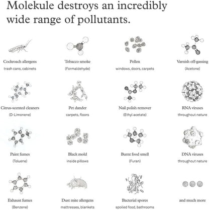 Molekule Air Pre-Filter - Authentic Molekule High Efficiency Pre-Filter Replacement System - Captures Pet Hair, Dust & Large Particles - Purifier Maintenance for Improved Air Quality - 2-Pack